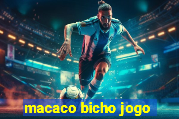 macaco bicho jogo