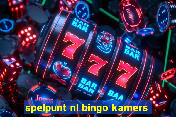 spelpunt nl bingo kamers