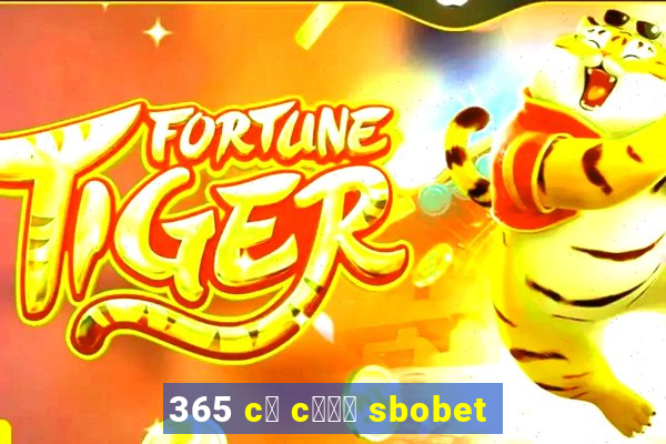 365 c谩 c瓢峄 sbobet