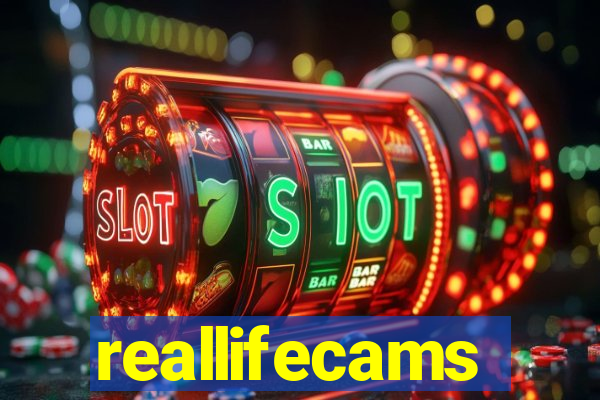 reallifecams