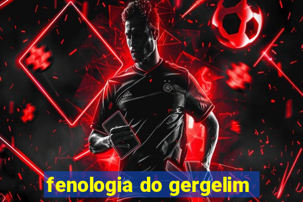 fenologia do gergelim