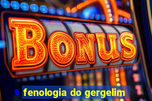 fenologia do gergelim