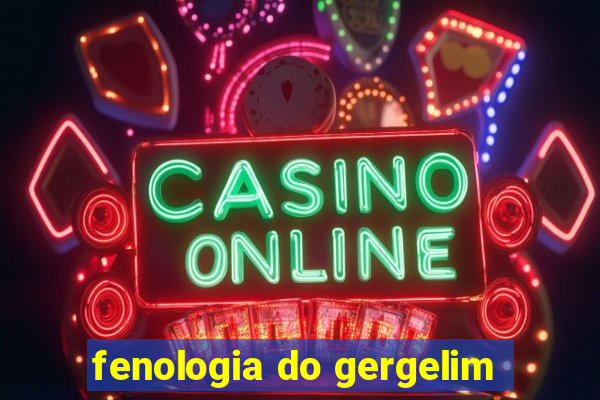 fenologia do gergelim