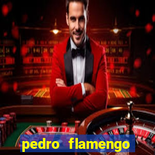 pedro flamengo antes e depois