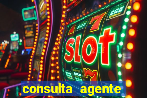 consulta agente autuador sp