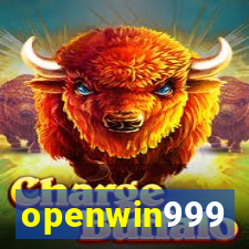 openwin999