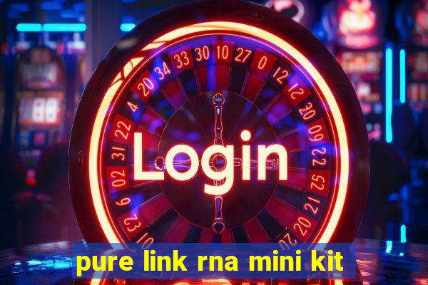 pure link rna mini kit