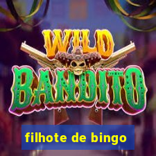 filhote de bingo