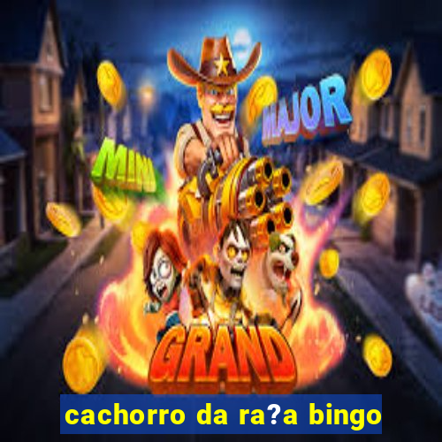 cachorro da ra?a bingo