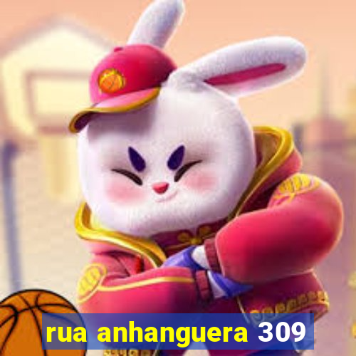 rua anhanguera 309