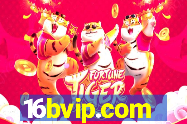 16bvip.com