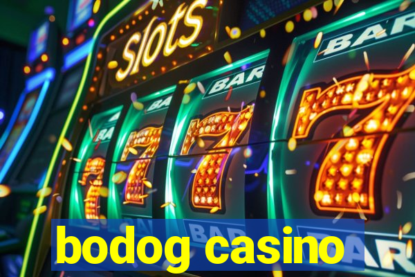 bodog casino