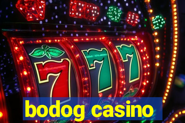 bodog casino