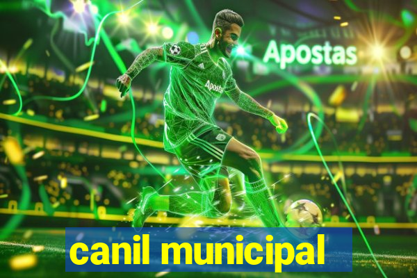 canil municipal