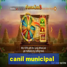 canil municipal