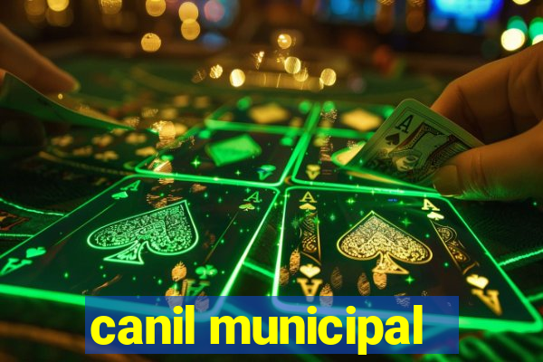 canil municipal