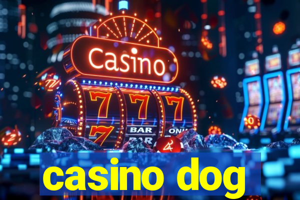 casino dog