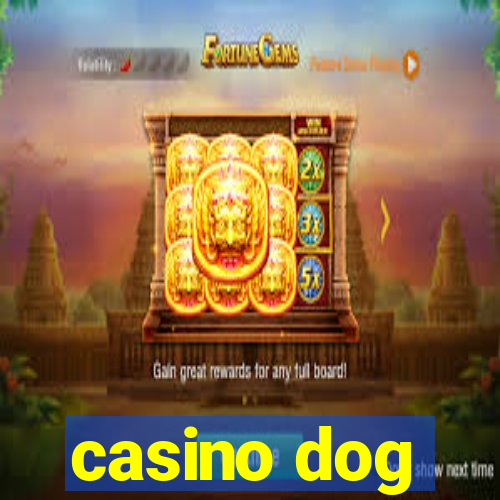 casino dog