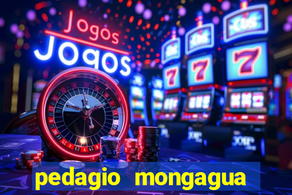 pedagio mongagua sao paulo