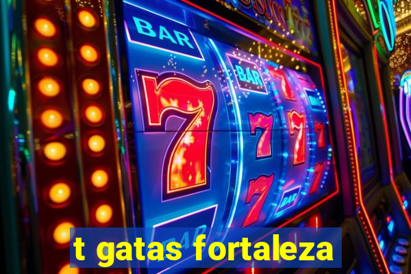 t gatas fortaleza