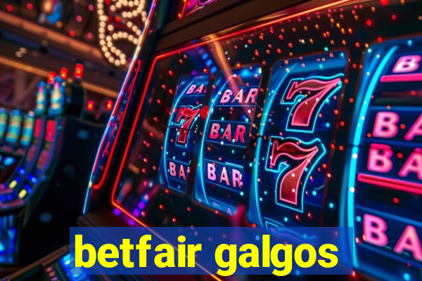 betfair galgos