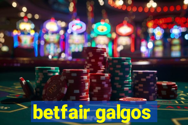 betfair galgos