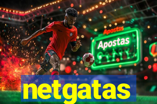 netgatas