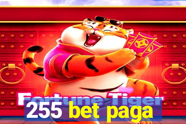 255 bet paga