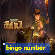 bingo number