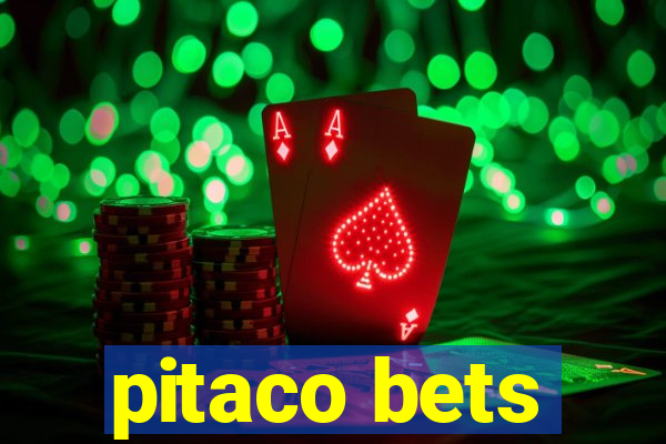 pitaco bets