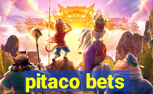 pitaco bets