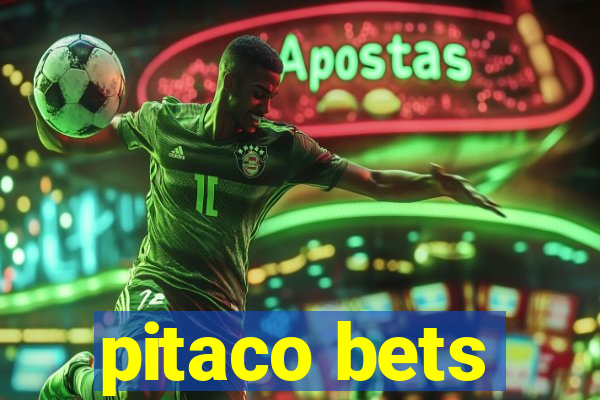 pitaco bets