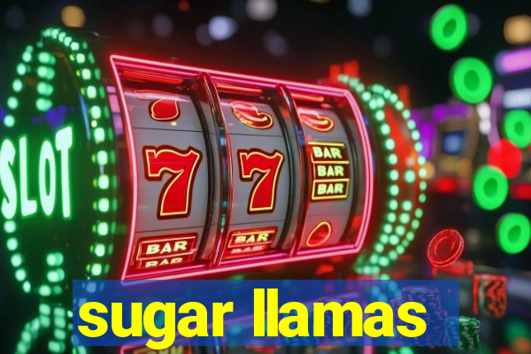 sugar llamas