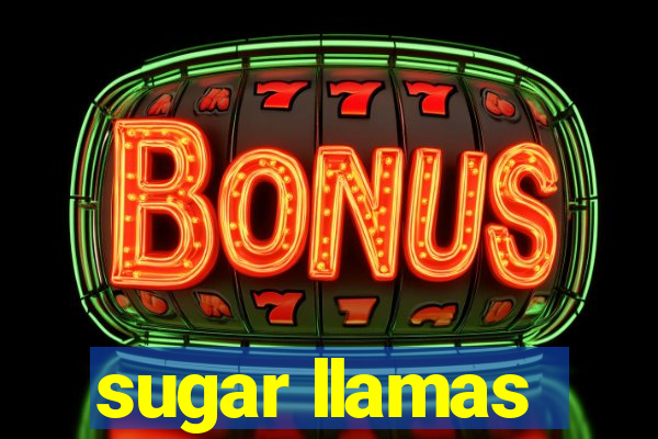 sugar llamas