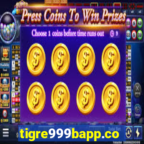 tigre999bapp.com