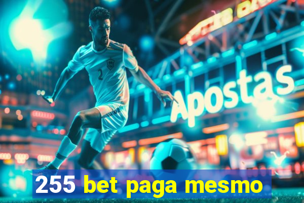 255 bet paga mesmo