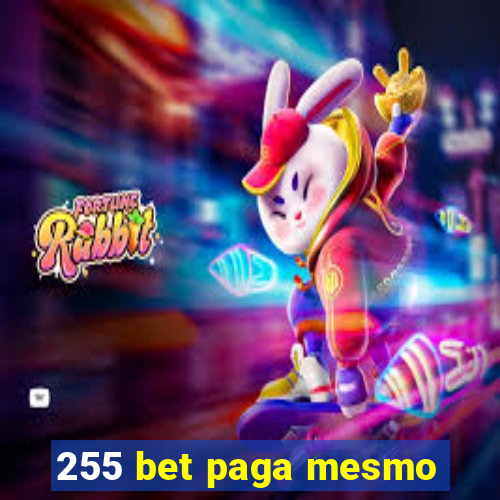 255 bet paga mesmo