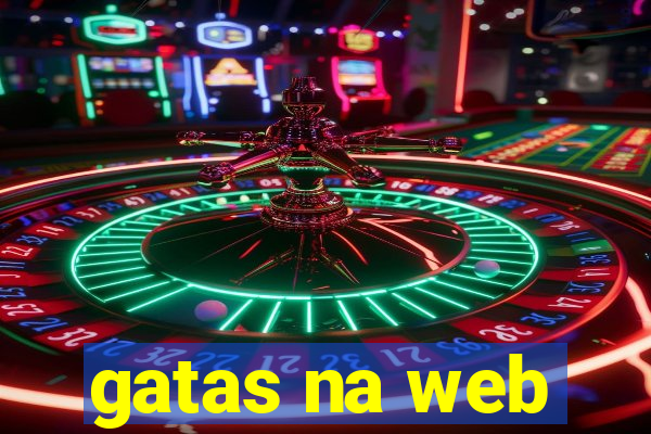 gatas na web