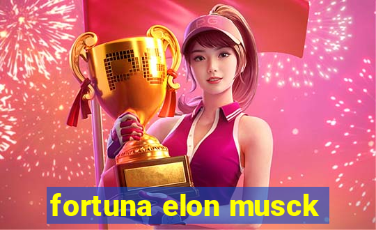 fortuna elon musck