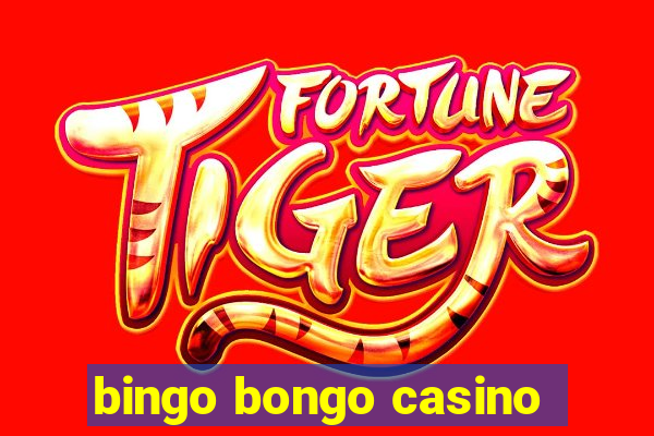 bingo bongo casino