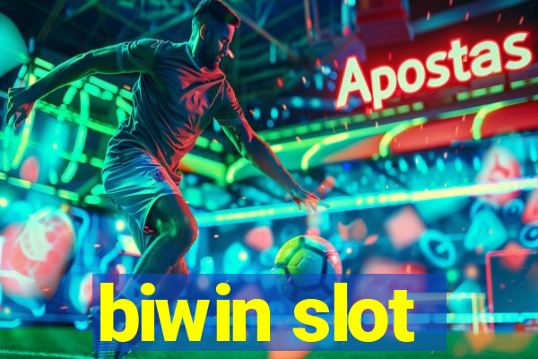 biwin slot