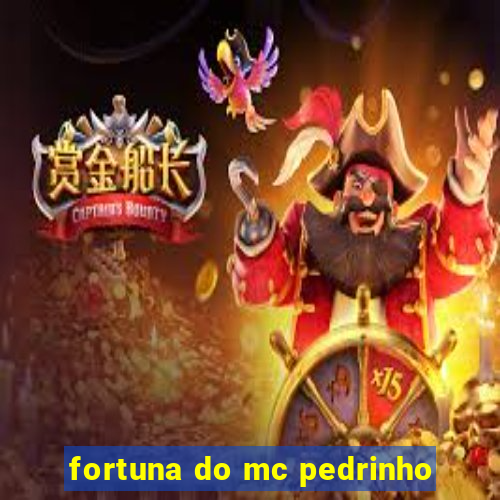 fortuna do mc pedrinho