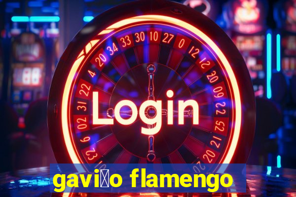 gavi茫o flamengo