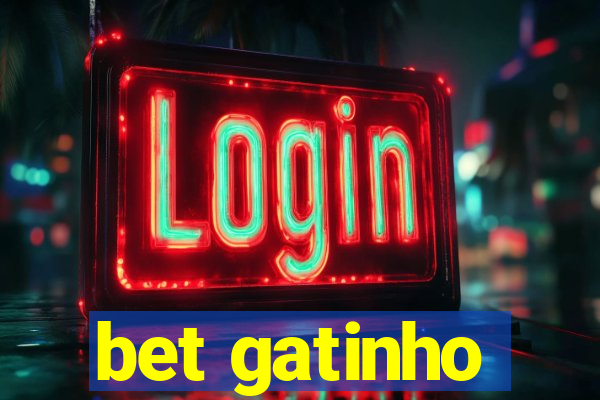 bet gatinho