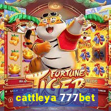 cattleya 777bet