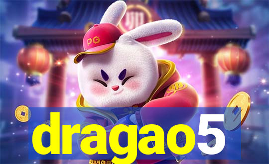 dragao5