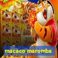 macaco maromba