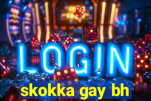 skokka gay bh