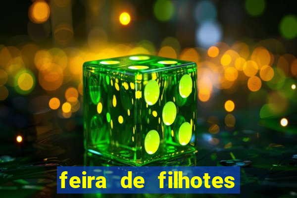 feira de filhotes porto alegre