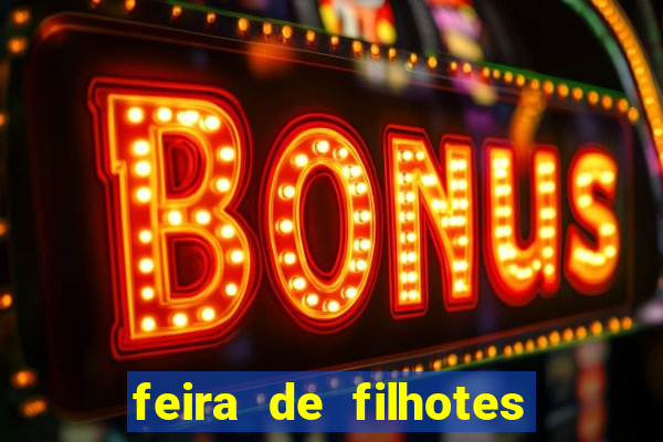 feira de filhotes porto alegre